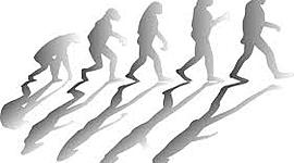 Timeline: Evolución