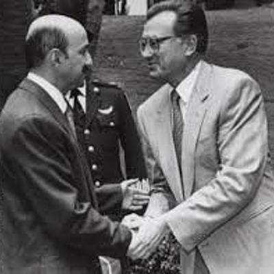 Timeline: ELECCIONES 1988