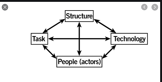 Sociotechnical systems