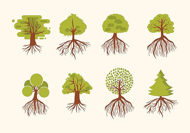 Término "Antropología cultura"