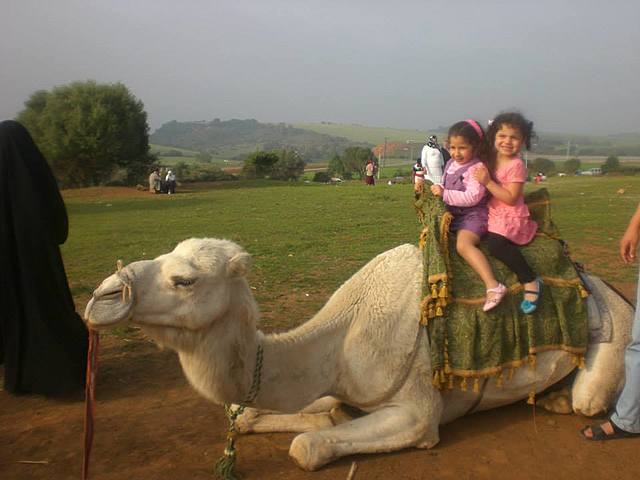 Mon premier voyage en Algerie