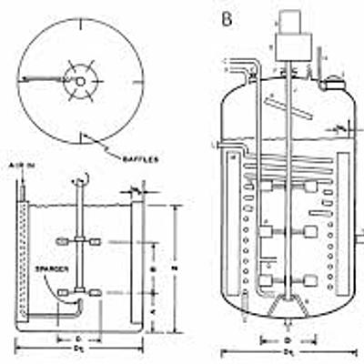 Timeline: Historia de los Biorreactores