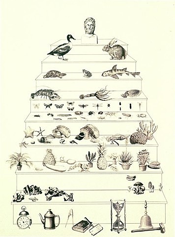 Concepción creacionista