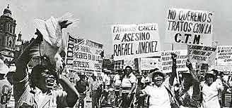 MOVIMIENTO AL SOCIALISMO