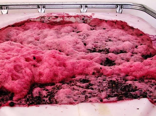 Fermentación láctica