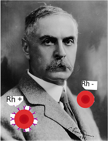 Rh Protein Discovery