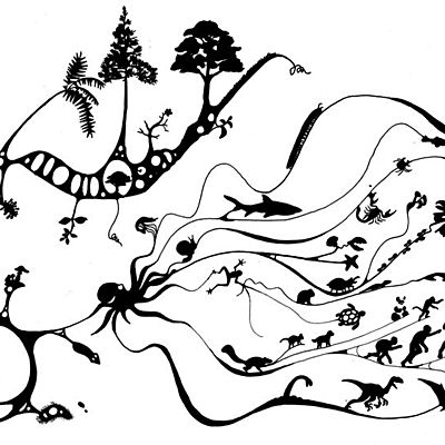 Timeline: Charles Darwin