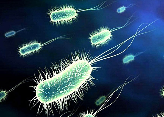 Diazorreacción como diagnóstico para la la fiebre tifoidea