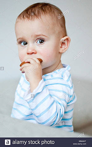 Desarrollo Sexual  de 13 a 36  Meses