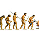 Evolucion comunicacion