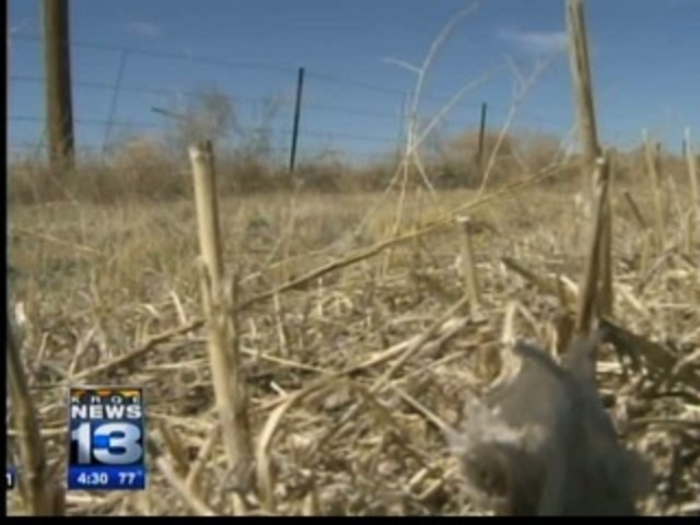 Curry County OKs power to ban burning