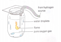 The First Person to Isolate Oxygen Scientifically- Joseph Priestly