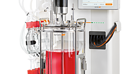 Timeline: Bioreactores