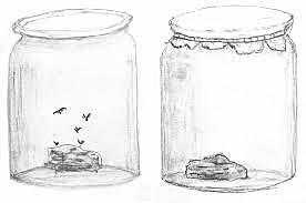 Experimentos sobre el origen de la vida de F. Redi