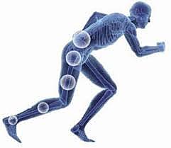 Enfoque orgánico funcional