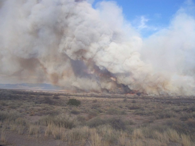 Photos: Sevilleta Fire