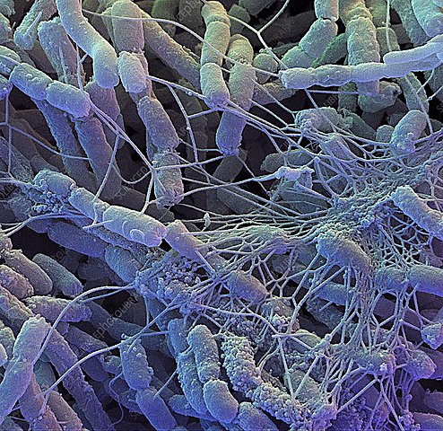 Produccion de N-bromosuccinimida
