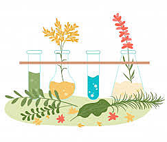 Empirismo con hierbas