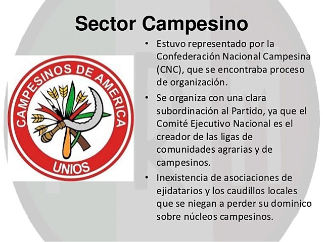 Confederación Nacional Campesina (CNC)