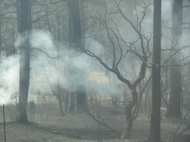 The Pine Lawn Fire starts