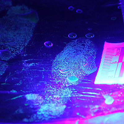 Timeline: Forensics History | Landon Higgins