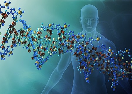 Avance científico en la Edad Contemporánea (siglo XX y XXI.) Estructura del ADN