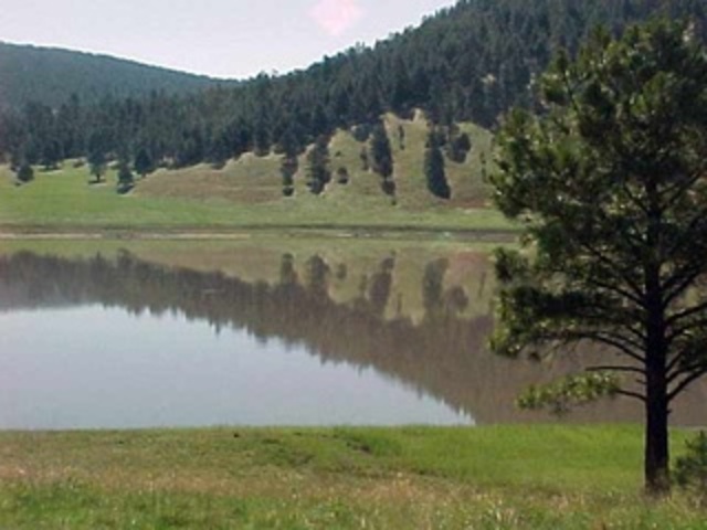 Gila Nat'l Forest limits fires, smoking