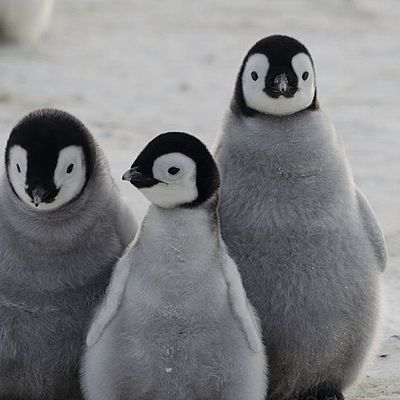 Timeline: quien soy quien quiero ser