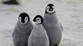 Timeline: quien soy quien quiero ser