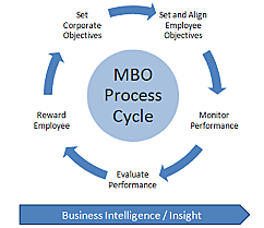 The MBO process