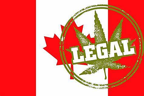 Le Canada devient le premier pays occidental à légaliser la consommation marijuana  à usage réréatif