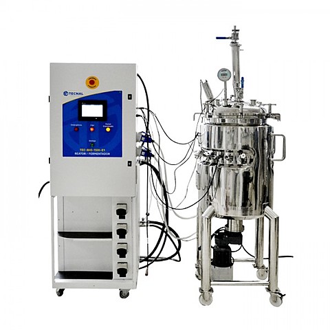 primer fermentor piloto