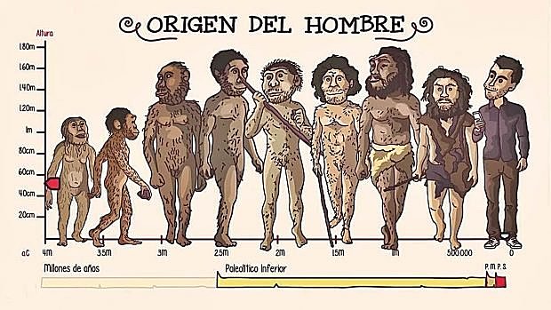 teoría de la evolución