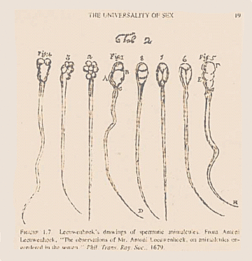 Antoine Van Leeuwenhoek