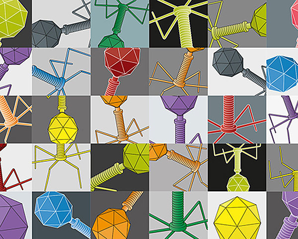 Más allá de las bacterias: estudios de otros microorganismos asociados al hospedador