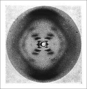 Rosalind Franklin