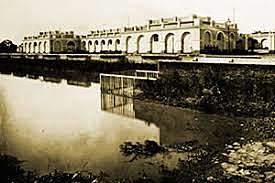 Protocolo de palermo