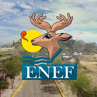 Timeline: Línea del tiempo - Formación Ciudadana