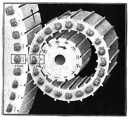 Ruedas calendáricas