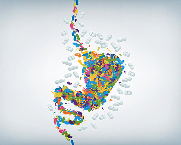 Producción de antibióticos por la microbiota humana