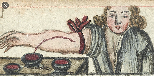 Egyptians and Bloodletting