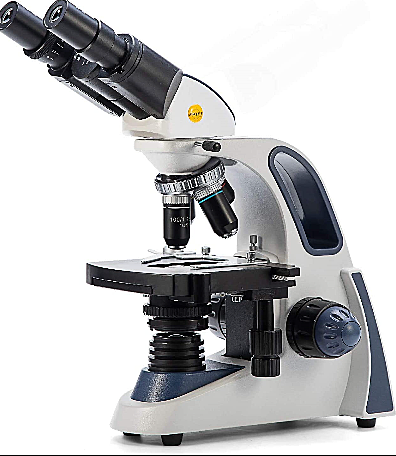 Anton van Leeuwenhoek