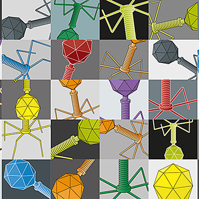 Timeline: Fase V de la microbiología (2000-)