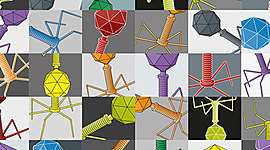 Timeline: Fase V de la microbiología (2000-)