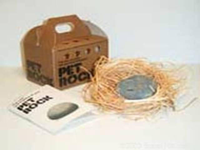 Pet Rocks Come Out