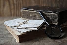 Evolución divergente