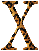 Mac OS X v10.2 "Jaguar"