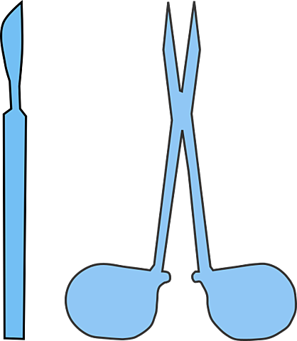 cirugía estelerizadora femenina