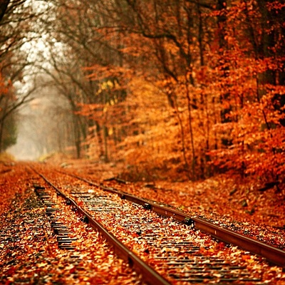 Timeline: Beneficios del mundo rural