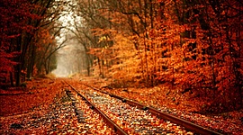 Timeline: Beneficios del mundo rural